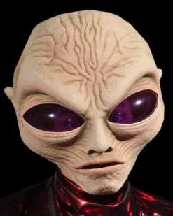 Alien Grey Mask