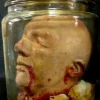 Anatomy Gore Jar - Joe's Severed Head Halloween Prop