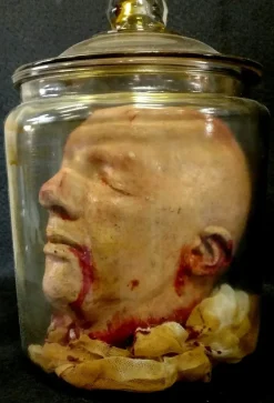 Anatomy Gore Jar - Joe's Severed Head Halloween Prop