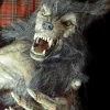 Baby Werewolf Puppet HD Studios Halloween Prop
