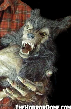 Baby Werewolf Puppet HD Studios Halloween Prop