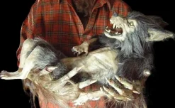 Baby Werewolf Puppet HD Studios Halloween Prop