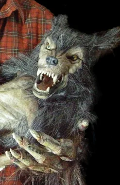 Baby Werewolf Puppet HD Studios Halloween Prop