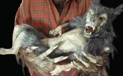Baby Werewolf Puppet HD Studios Halloween Prop