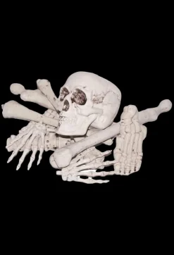 Bag of Bones Halloween Prop