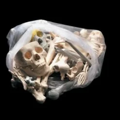Bag of Bones - Large Halloween Prop