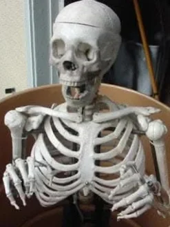 Barrel Spitter Skeleton Halloween Animatronic