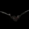 Bat with Light-up Eyes Hanging Halloween Prop - 54 inches