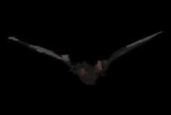 Bat with Light-up Eyes Hanging Halloween Prop - 54 inches