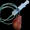 Beating "Human Heart" Silicone Human Body Part Halloween Prop
