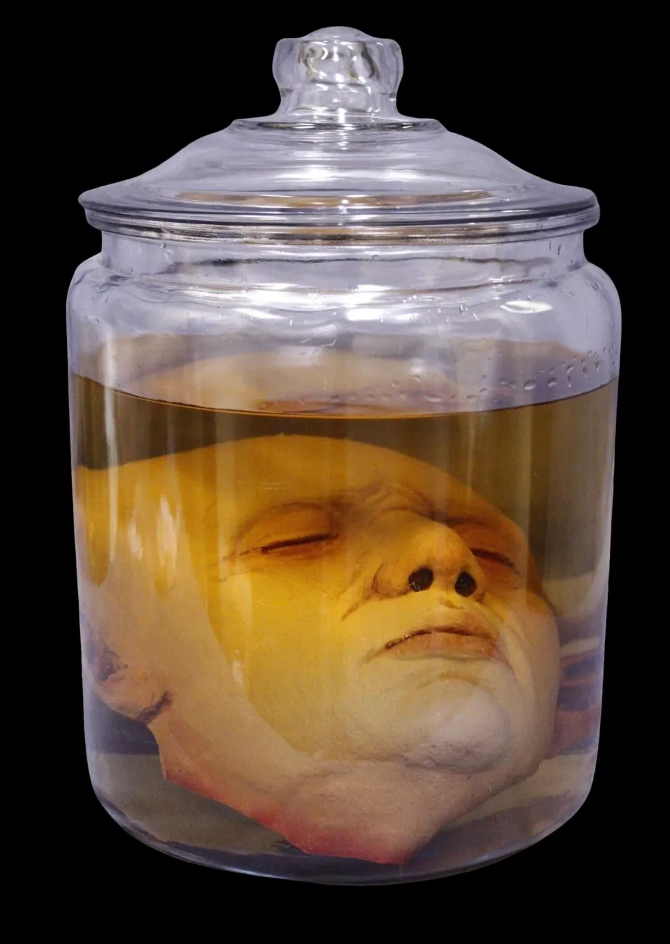 Ben Head in Jar Halloween Prop