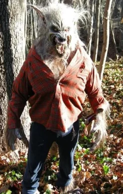 Big Bad Wolf HD Studios Pro Halloween Costume