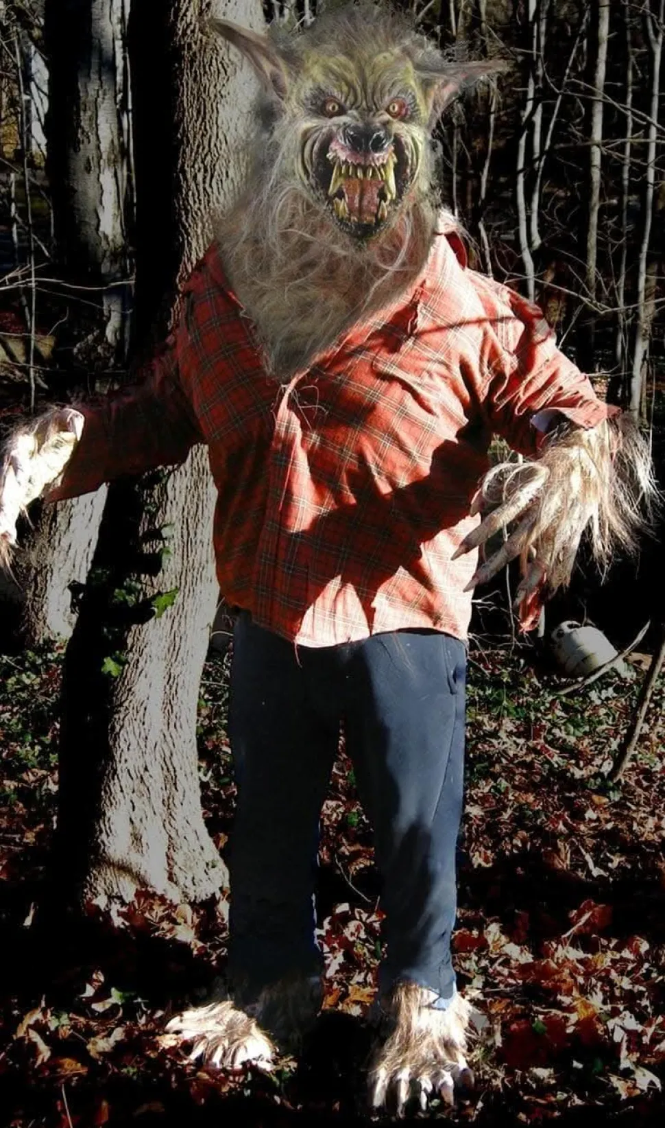Big Bad Wolf HD Studios Pro Halloween Costume
