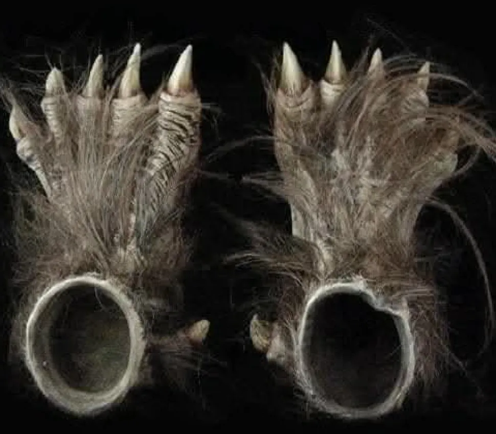 Big Bad Wolf HD Studios Pro Halloween Costume