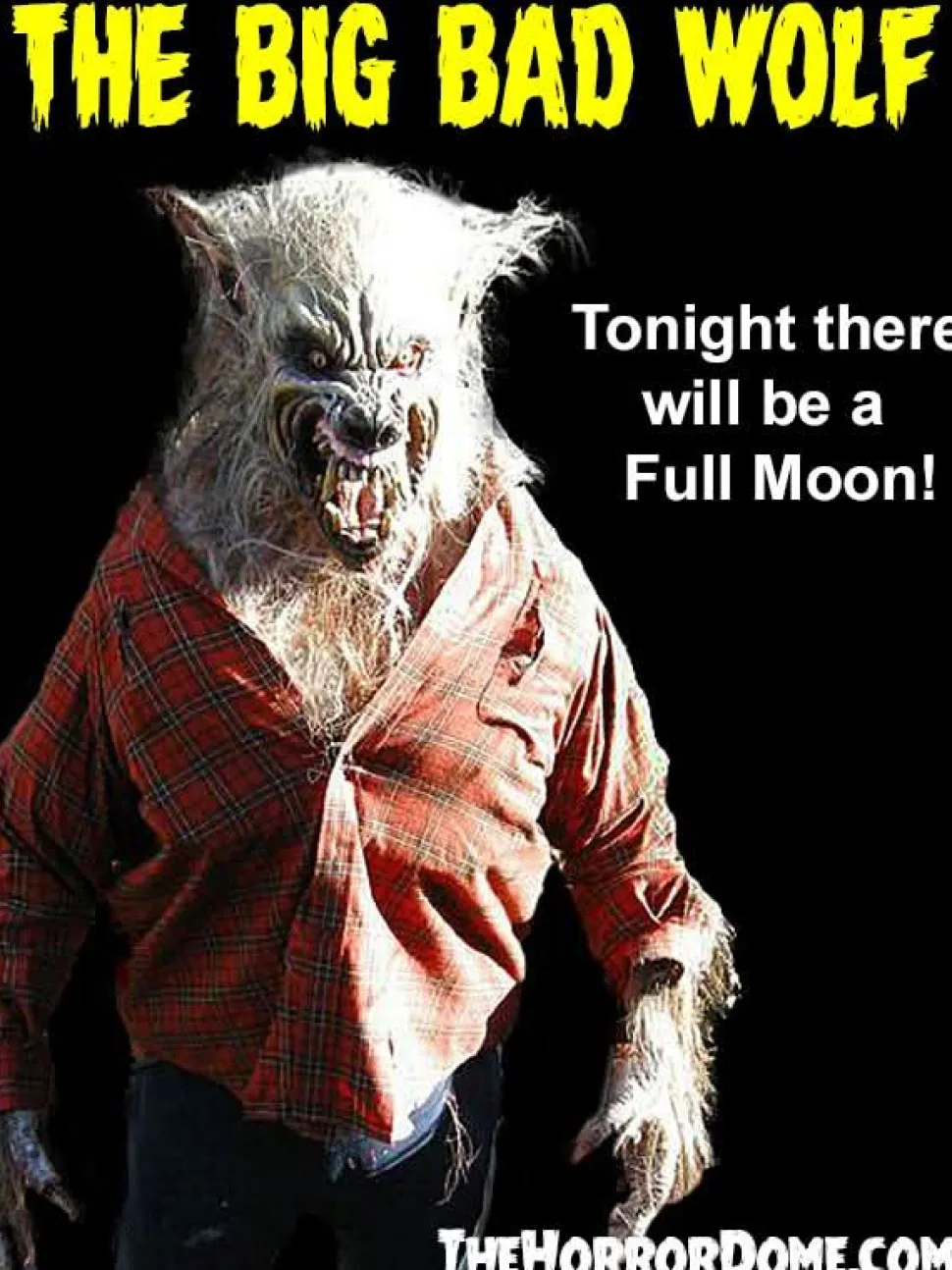 Big Bad Wolf HD Studios Pro Halloween Costume