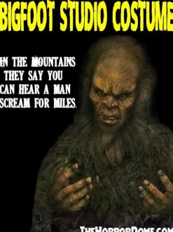 Bigfoot HD Studios Pro Costume