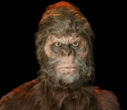 Bigfoot HD Studios Pro Costume