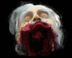 Big Mouth Severed Head HD Studios Bloody Halloween Prop