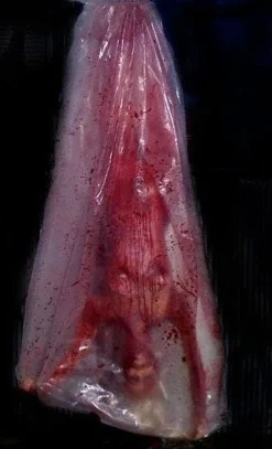 Bloody Babe Body Bag Shaker Halloween Animatronic