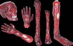Burnt Body Parts Gory Halloween Props - Package Deal