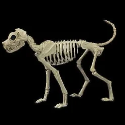 Buster Bonez Dog Skeleton Halloween Prop