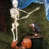 Camo Crazy Background - 8 X 10 - Green / Brown Haunted House Decoration