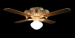 Ceiling Fan with 8 Small Skulls and Light Haunted House Lighting