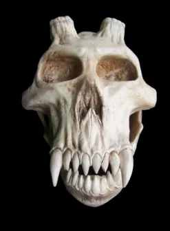 Chupacabra Skull Halloween Prop