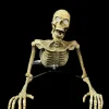Creeper Skeleton Halloween Animatronic