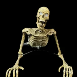 Creeper Skeleton Halloween Animatronic