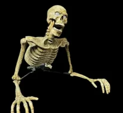 Creeper Skeleton Halloween Animatronic