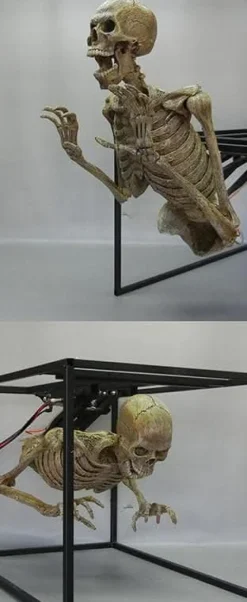 Crypt Dweller Skeleton Halloween Animatronic