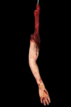 Dangler Bloody Joe Arm Halloween Prop