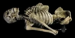 Dead Rising Skeleton Halloween Animatronic