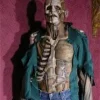 Decayed Zombie HD Studios Pro Halloween Costume