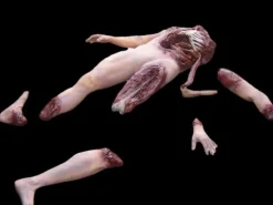 Deluxe Dismembered Body Combo Halloween Prop