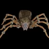 Deluxe Light-Up Wolf Spider Halloween Prop
