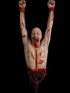 Dental Horror Olly Dangler Halloween Prop