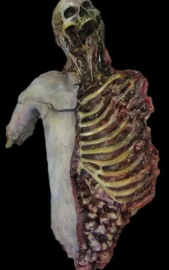 Dismembered Carcass Human Body Skeleton Halloween Prop