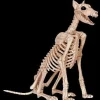 Doberman Skeleton Dog Skeleton Halloween Prop