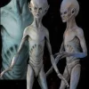 EBE Extraterrestrial Biological Entity Professional Alien Prop
