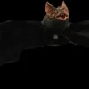 Electronic Bat Hanging Halloween Prop