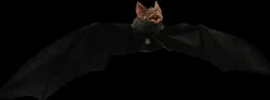 Electronic Bat Hanging Halloween Prop