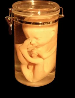 Fetus Replica 7 Month Specimen Jar Halloween Prop