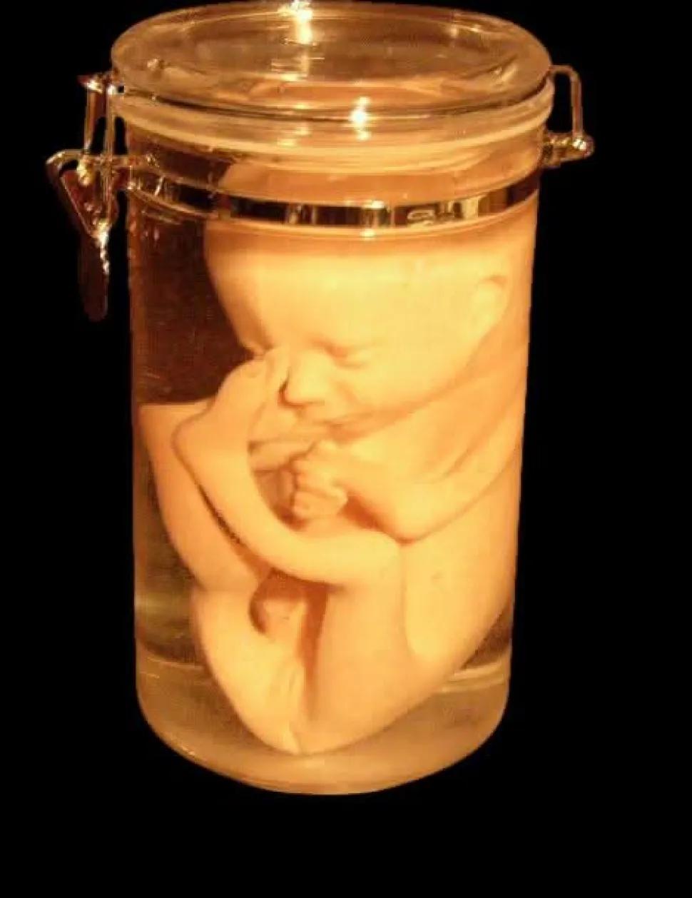 Fetus Replica 7 Month Specimen Jar Halloween Prop