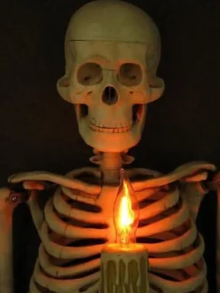 Framed 3D Skeleton Torso Holding Candle Hanging Haunted House Decoration