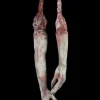 Frozen Jamie Arm Dangler Limb Pair Halloween Prop