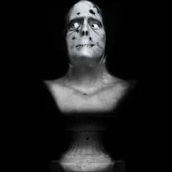 Ghost Bust Pro - Spider Face Animated Haunted Projection Prop