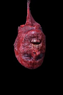 Hanging Skinned Head Halloween Prop