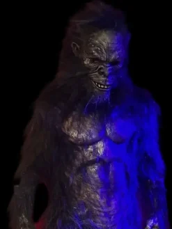 Harry the Primate Costume